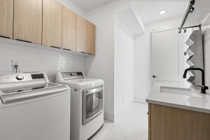 959 S Vine - Luxury Wash Park Home